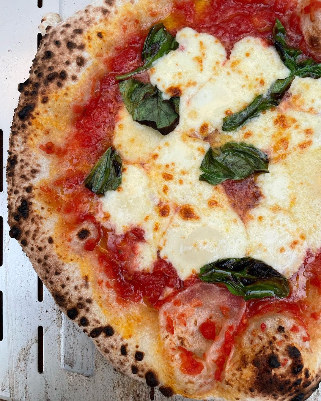 Margherita Pizza – Low Moisture Mozz